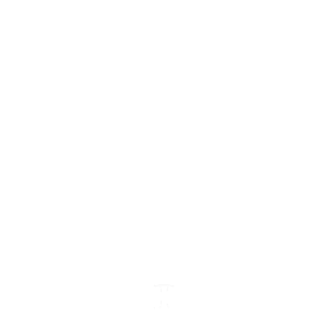 Logo Steindl